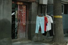 IMGP1830
